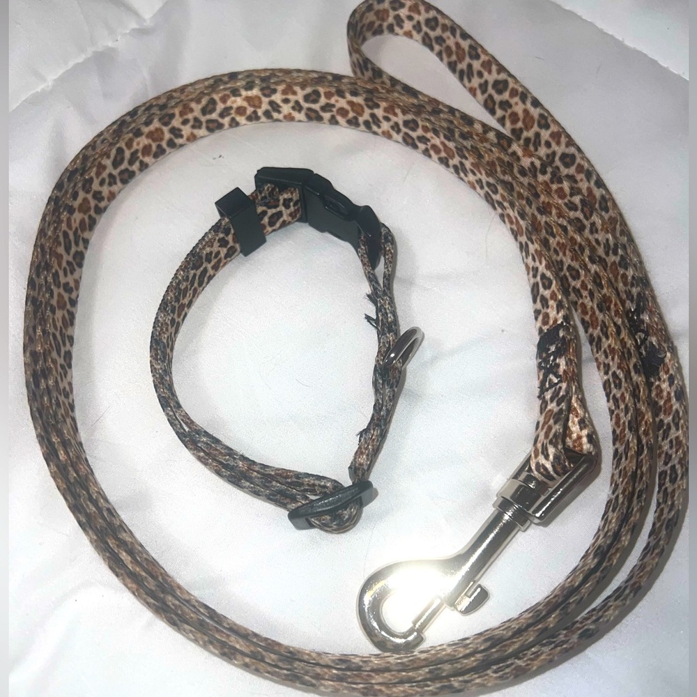 Dog Leash And Collar Set